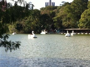 Primeiro fim de semana com sol depois da temporada de chuva leva milhares de pessoas aos parques e áreas de lazer de Maringá